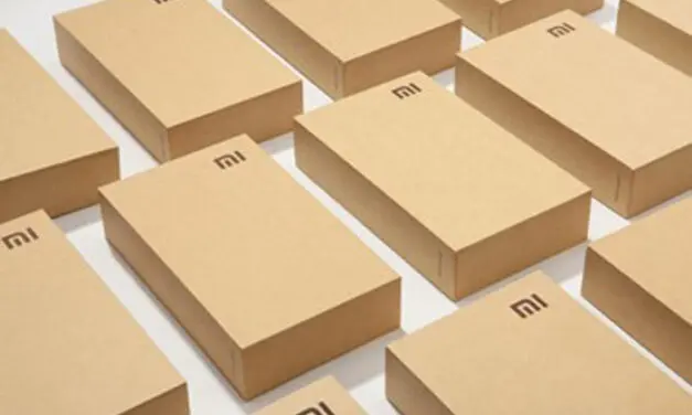 เปิดแนวคิดการออกแบบบรรจุภัณฑ์ของเสียวหมี่