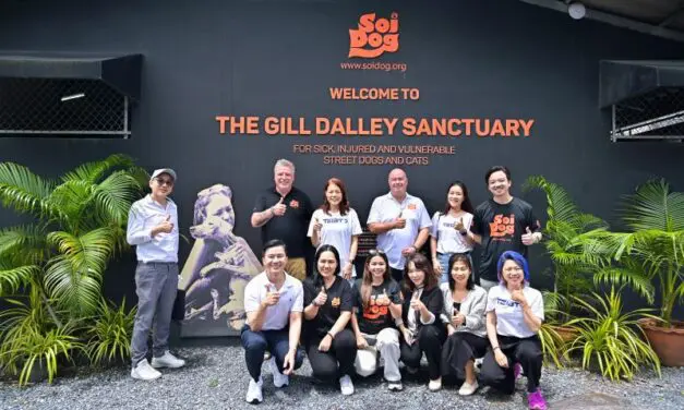 Teibto ร่วมสานต่อภารกิจเพื่อชีวิตใหม่ของสัตว์จรจัด จัดกิจกรรมร่วมกับ Soi Dog Foundation ที่จังหวัดภูเก็ต