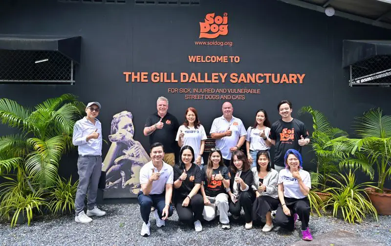 Teibto ร่วมสานต่อภารกิจเพื่อชีวิตใหม่ของสัตว์จรจัด จัดกิจกรรมร่วมกับ Soi Dog Foundation ที่จังหวัดภูเก็ต