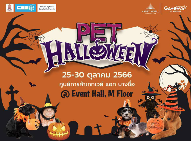 “Pet Halloween 2023” 25 – 30 ต.ค. 66 พบความน่ารัก น่ากลัว ชวนขนลุก!!! ที่เกทเวย์ แอท บางซื่อ งานนี้เข้าชมฟรี!! ไม่มีค่าใช้จ่าย