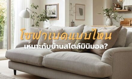 โซฟาเบดแบบไหนเหมาะกับบ้านสไตล์มินิมอล?