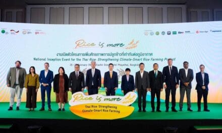 กองทุนภูมิอากาศสีเขียวสนับสนุนไทยกว่า 4 พันล้านบาทเดินหน้าปรับเปลี่ยนวิถีการปลูกข้าวรับมือภาวะโลกร้อน