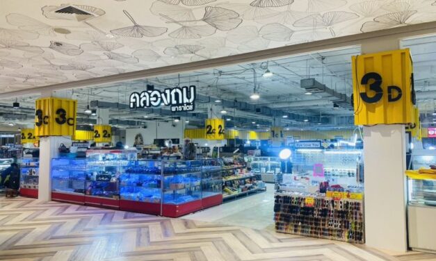 พบกับ “คลองถม พาราไดซ์” แหล่งช้อปสุดชิค ราคาดีมีทุกอย่าง พร้อมเปิดบริการแล้ววันนี้ @พาราไดซ์ พาร์ค