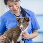 มหิดล ปั้น “สตาร์ทอัพ” VETISOME สร้างนวัตกรรมเจาะ ‘Exosome’ ตลาด ตอบรับเทรนด์ Pet Humanization เลี้ยงสัตว์ในครอบครัว