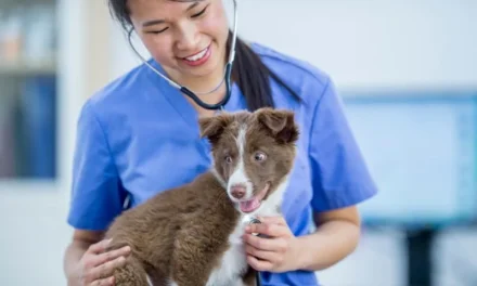 มหิดล ปั้น “สตาร์ทอัพ” VETISOME สร้างนวัตกรรมเจาะ ‘Exosome’ ตลาด ตอบรับเทรนด์ Pet Humanization เลี้ยงสัตว์ในครอบครัว