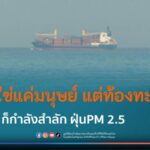 ไม่ใช่แค่มนุษย์ที่ได้รับผลกระทบ ฝุ่น PM 2.5 ยังทำร้ายปะการัง และสัตว์ทะเล ได้มากกว่าที่คิด