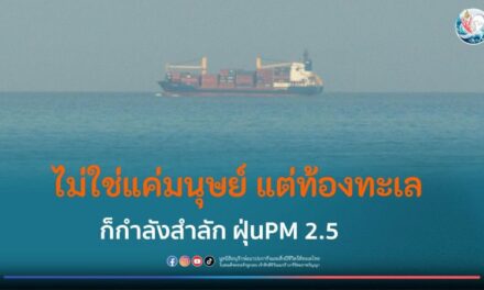 ไม่ใช่แค่มนุษย์ที่ได้รับผลกระทบ ฝุ่น PM 2.5 ยังทำร้ายปะการัง และสัตว์ทะเล ได้มากกว่าที่คิด