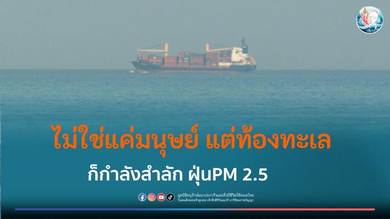 ไม่ใช่แค่มนุษย์ที่ได้รับผลกระทบ ฝุ่น PM 2.5 ยังทำร้ายปะการัง และสัตว์ทะเล ได้มากกว่าที่คิด