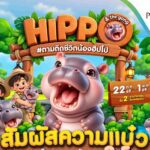 ชวนตามติดชีวิต “เจ้าก้อน” สนุกเรียนรู้เรื่องฮิปโปแคระ ผ่าน 5 ฐานกิจกรรม ในงาน Hippo & the gang #ตามติดชีวิตน้องฮิปโป @พาราไดซ์ พาร์ค