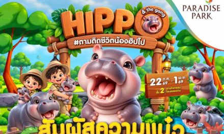 ชวนตามติดชีวิต “เจ้าก้อน” สนุกเรียนรู้เรื่องฮิปโปแคระ ผ่าน 5 ฐานกิจกรรม ในงาน Hippo & the gang #ตามติดชีวิตน้องฮิปโป @พาราไดซ์ พาร์ค